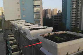 泡沫箱種菜的使用壽命，可能會超出你的想象